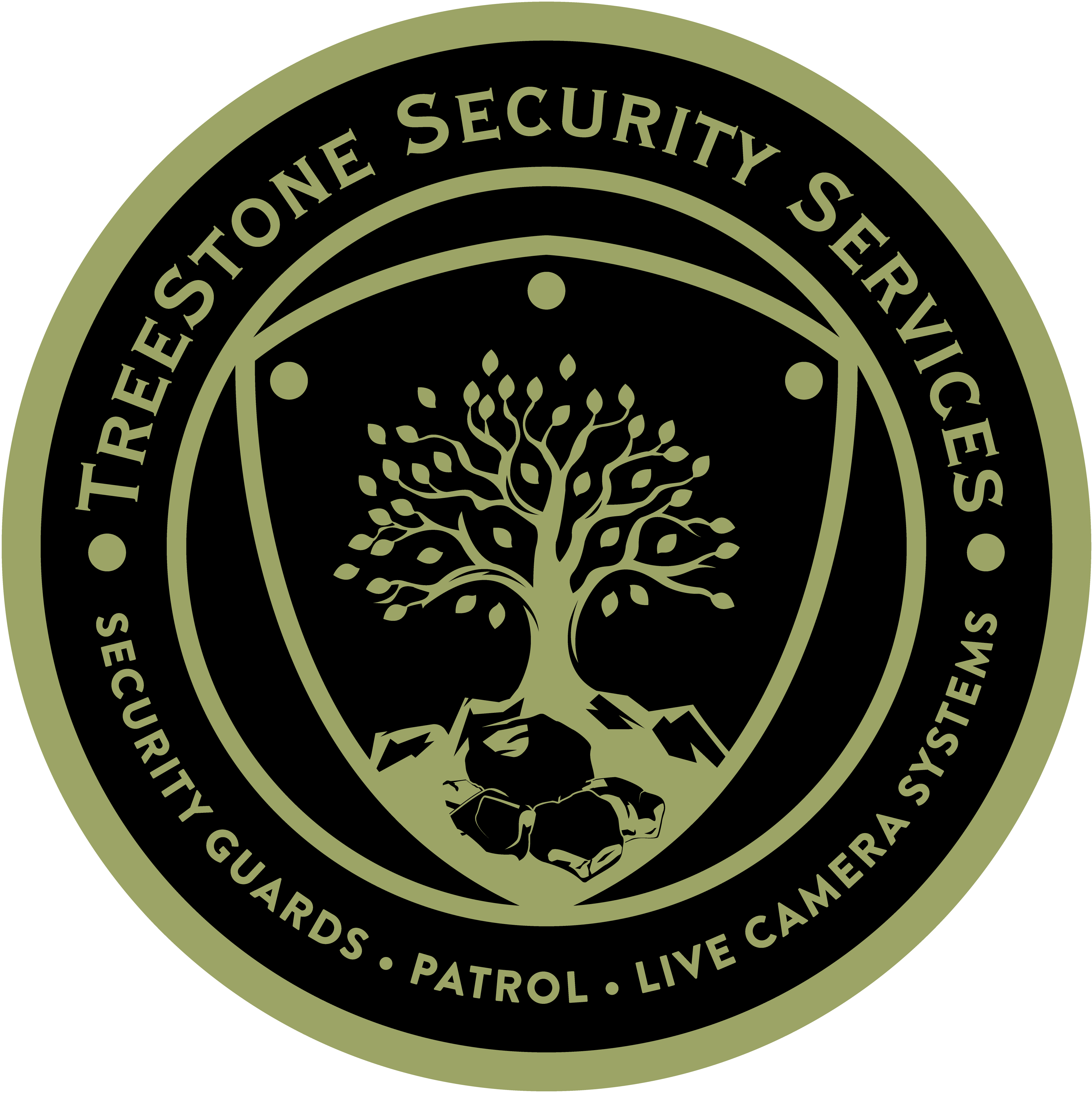 img/treestone-security-service-logo-v3-transparent.png