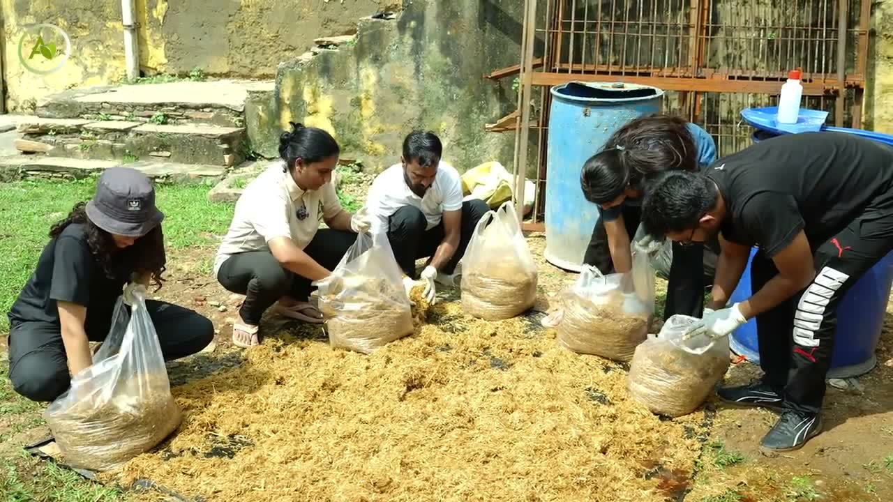 Farmers preparing substrate for oyster mushroom cultivation