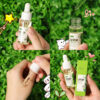 Revive & Illuminate: FENYI Green Tea Essence Serum - Ultimate Hydration for All Skin Types