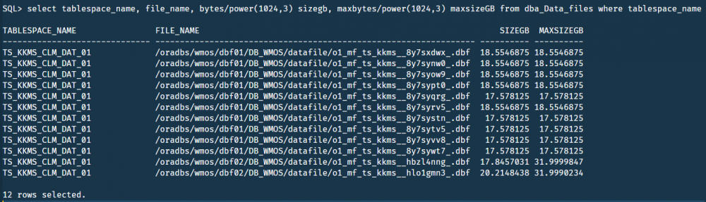 tablespace-short-of-space-would-you-add-datafile-or-set-the-maxsize