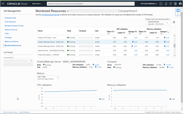 Know what’s running on your Oracle Cloud Infrastructure instances using ...